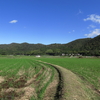 この曲線が好き～京都・北嵯峨の田園から～