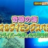 世界さまぁ～リゾート「パラオのダイビングスペシャル」
