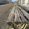 Photo No.2211 / あれこれ動き回った