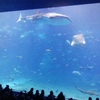 水族館