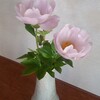 5月の草花と花木（2023年）