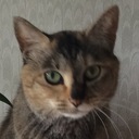 片付けられないから卒業するまで