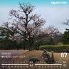 雨中の緑ヶ丘CCでノンストレスプレー【ラウンドレポ24-19】
