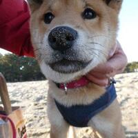 黒部・立山登山で…雪・空・雲・大自然!　太陽は沈むけどまた昇るのです♪