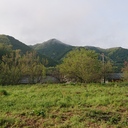 派遣OLやってて気持ちが疲れたので田舎に移住してみた