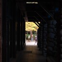 旅したい人