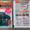 カボチャの種蒔き