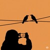 不審者ではありません、カラス観察中です。