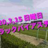 2020,3,15 日曜日 トラックバイアス予想 (中山競馬場、阪神競馬場、中京競馬場)