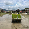今年の田植えも終了したこととホウネンエビと「ほな」