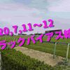 2020,7,11～12 トラックバイアス結果 (福島競馬場、阪神競馬場、函館競馬場)