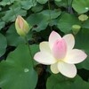 身体の部分を詠むー唇(1/4)