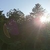 あなたへの手紙✨今日の日に…。