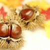 そろばんカレンダー【２０１８年９月】