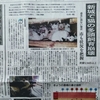 東愛知新聞の猫の記事いくつか