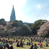 それはお花見であった！