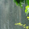 我家での台風8号の被害・・・植木鉢が割れる