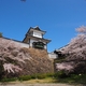 街をあるけば「百間堀～石川門」桜満開