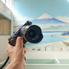 SONY α6000にZEISS Loxia 2.8/21をつけて、江戸東京たてもの園（東ゾーン）を撮ってみた。