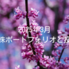 2025年3月｜高配当株ポートフォリオと投資状況