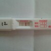 D26  高温期12日目  妊娠検査薬フライング