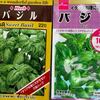 バジルを播種しました(^^)/ (4月7日) ＆大根間引き。