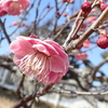 あけぼの山農業公園（柏市）