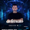 World DJ Festival Japan 2025 Animatoの出演が発表　来日情報