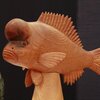 漁師さんの技がおいしい魚たち