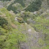 霊仙山「島津越えの道」