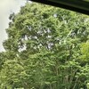 夏が長すぎてへたばってしまった連休中日
