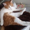 捨てられないもの・・・