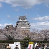 姫路城には桜が一番似合うと思っています。