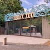 Bronx Zooに行ってきました！