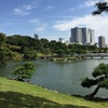 最近見た庭園。浜離宮恩賜庭園、小石川後楽園、皇居東御苑・二の丸庭園、殿ヶ谷戸庭園、旧徳川昭武庭園（戸定邸庭園）