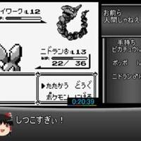 ポケモンでrtaの一端に触れてみた なっぱ箱