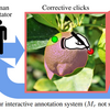 Large-scale interactive object segmentation with human annotators