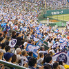 この状況でプロ野球とか無理だろ