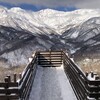白馬岩岳 1月18日滑走レポート：放射冷却で快晴の空、北アルプスの絶景が拡がる白馬村。マウンテンハーバーでは大勢の人が景色を満喫中