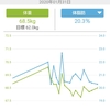 ダイエットを2週間続けて気付いたタンパク質の重要性