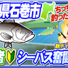 【宮城県の釣り】初心者・シーバス奮闘記→ちっこいのヒットしたどぉ～。【石巻市】 