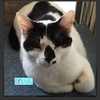2020/03/02　「猫　来たよー」