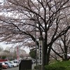 2019.04.07 館林つつじケ岡公園のこいのぼり～カフェブランドブラン