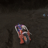 #81　色違いフカマル&ガバイト2匹　ベイク空洞ドラゴンスパイス厳選