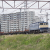 5071レのEF66 27を撮る。