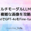 マルチモーダルLLMで複雑な画像を攻略：AOAIでGPT-4oをFine-tuning