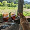 川沿いのオープンカフェと山の中をお散歩 今日の柴ちゃん262 毎日ご飯