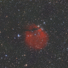 Sh2-302 <Puppis>