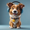 音楽配信代行サービスの無料版を活用して新しい曲を配信する方法