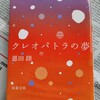 旅情をくすぐる2時間ドラマ的な｜『クレオパトラの夢』恩田陸